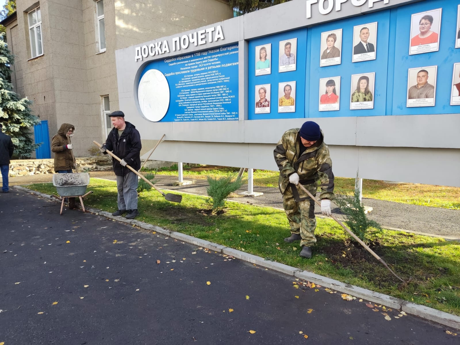 В Сердобске высадили саженцы туй и можжевельника | 23.10.2023 | Пенза -  БезФормата