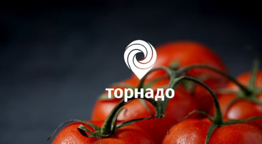 Cherry Torn Порно Видео | arnoldrak-spb.ru