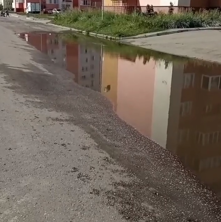 Погода в шуисте пензе. Пенза район Шуист. Озеро Шуист Пенза. Озеро Шуист Пенза фото. Вонючая лужа в Ельце 7 микрорайон.