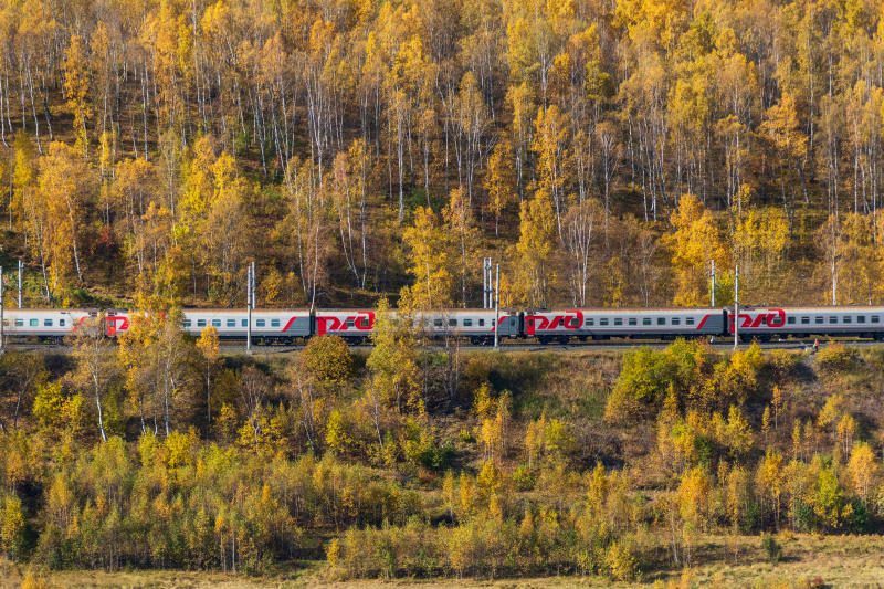 Пенза санкт петербург поезд