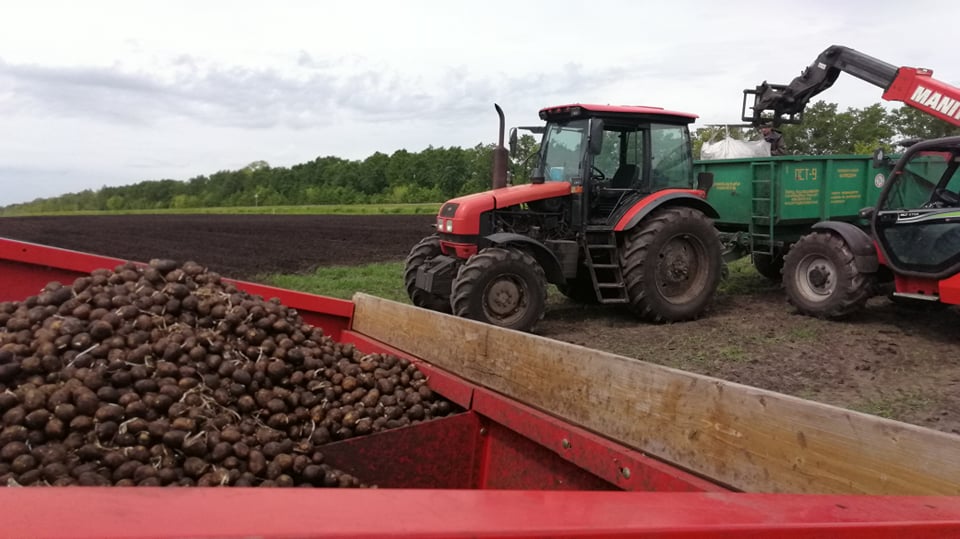 Завершена посевная кампания. Ооо раздолье пензенская область. Фото ао агрофирма раздолье администрация. Агрофирма раздолье мокрая ольховка. Агрофирма раздолье.