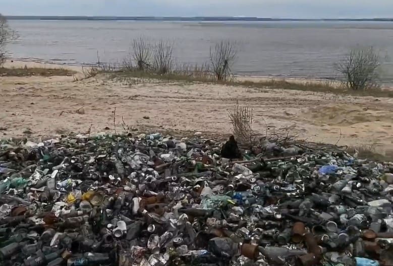 Берег Сурского водохранилища