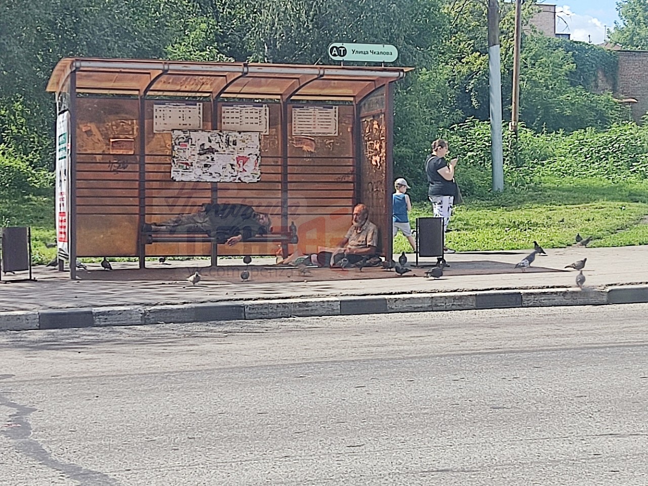 Пензенцев возмутили бомжи и голуби, обосновавшиеся на остановке Чкалова |  25.07.2022 | Пенза - БезФормата