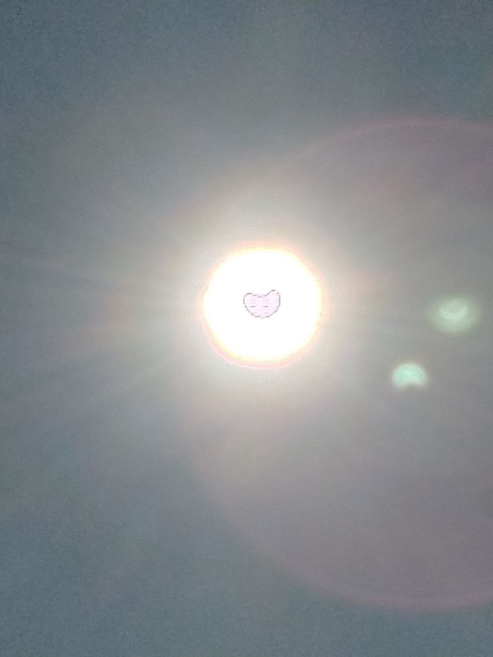 фотографии солнечного затмения сегодня
