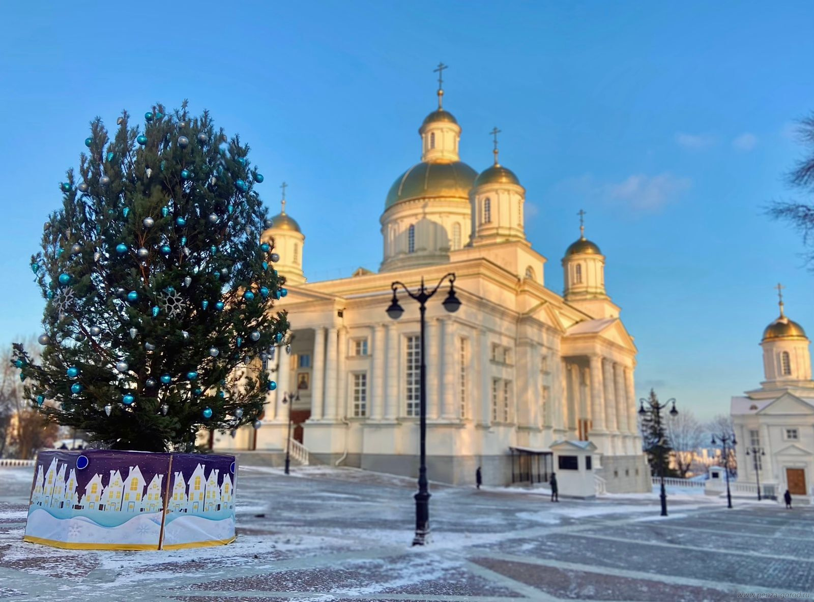 В Пензе обновили облезлую елку на Соборной площади | 08.12.2023 | Пенза -  БезФормата