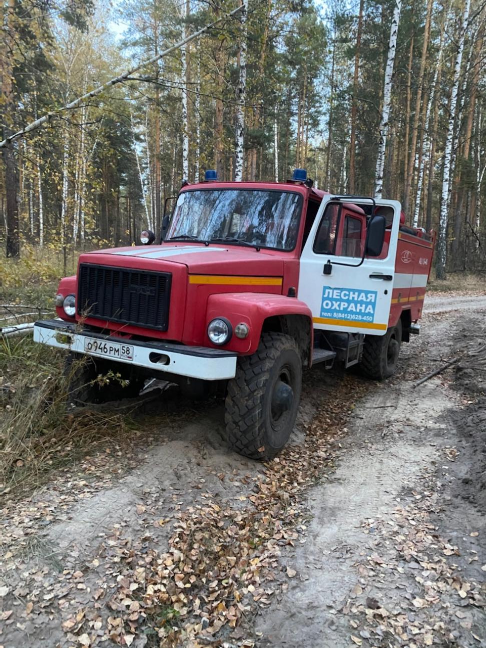 В Пензенской области пожар уничтожил около двух гектаров леса - Столица58