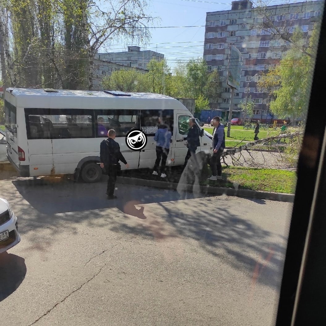 В Пензе в ДТП с маршруткой и березой пострадали шесть пассажиров |  28.04.2023 | Пенза - БезФормата