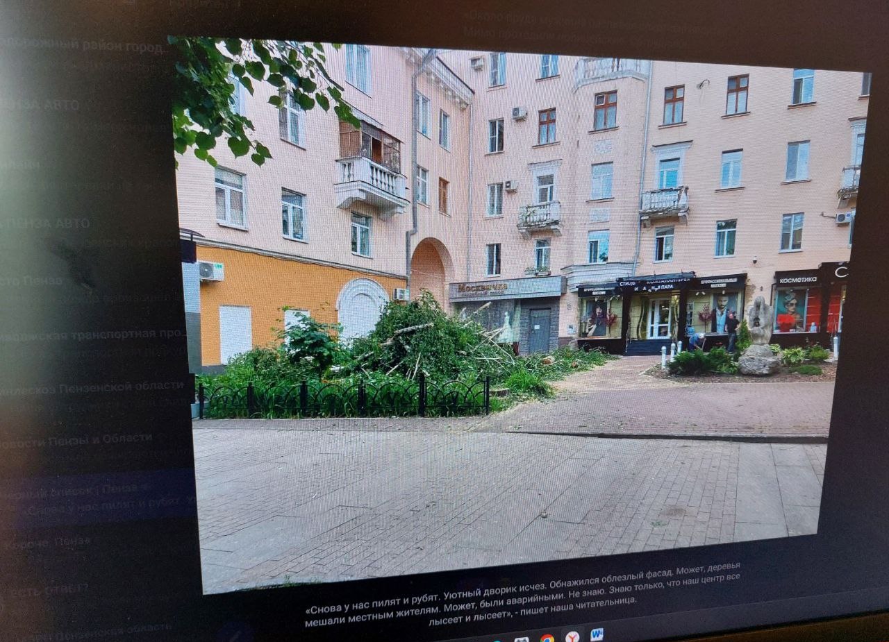 В Пензе срубили все деревья в сквере на Московской | 11.06.2024 | Пенза -  БезФормата