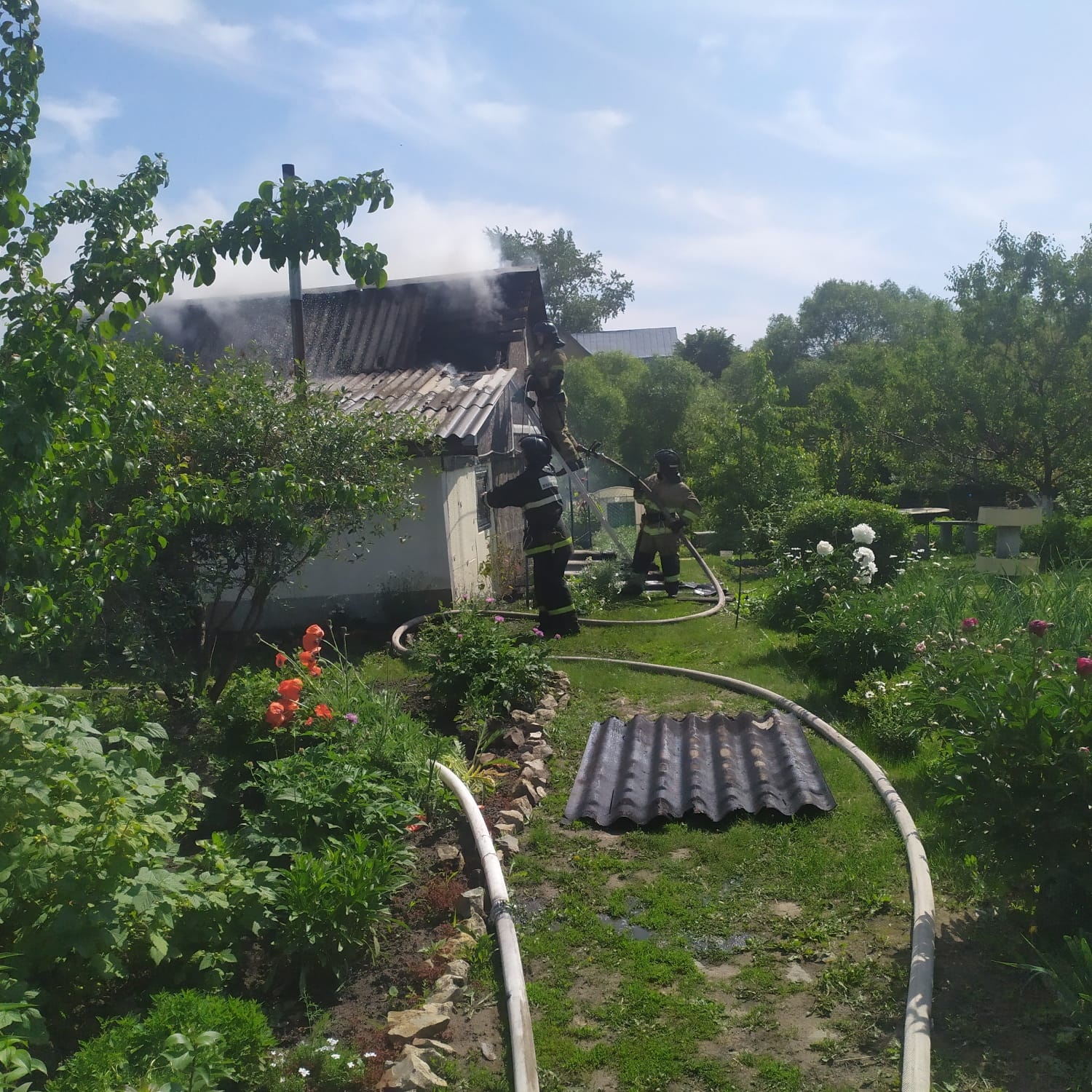 Под Пензой огонь распространился на площади 30 квадратных метров |  05.06.2023 | Пенза - БезФормата