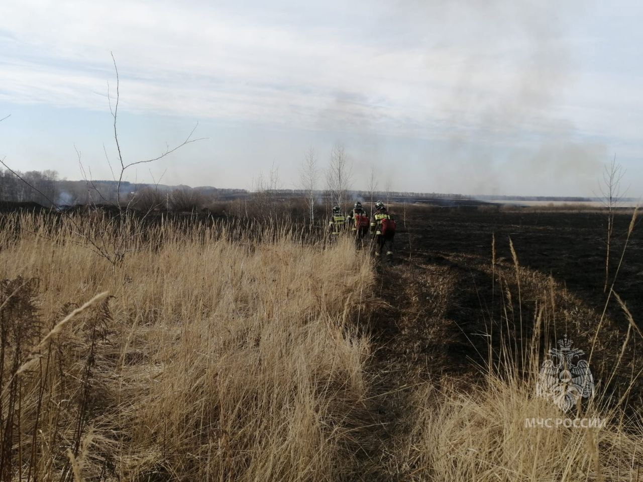 Пенза сердобск