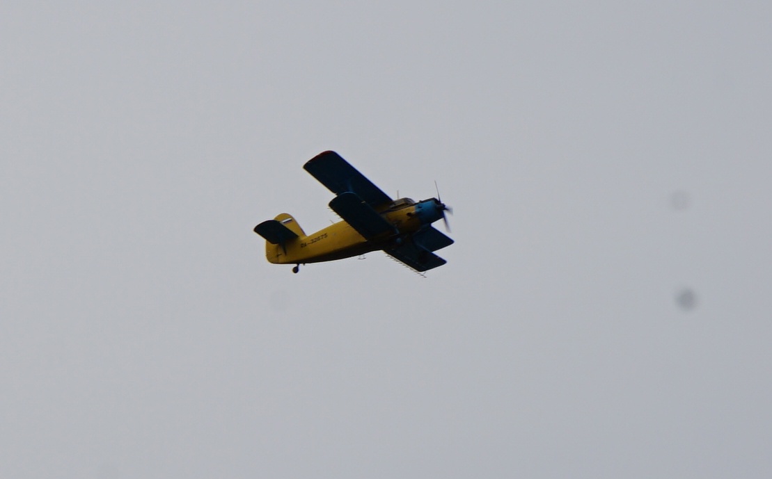 Мин летел. TB-001 China UAV. TB-002 China UAV. Тайвань пограничники дроны. Twin tailed Scorpion TB 001.