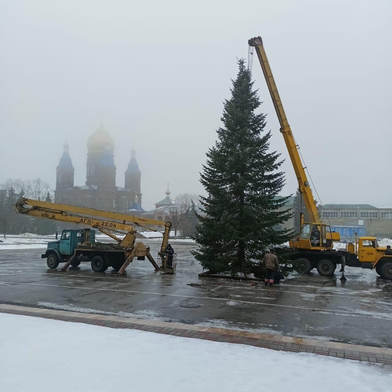 В Сердобске установили главную новогоднюю елку | 30.11.2023 | Пенза -  БезФормата