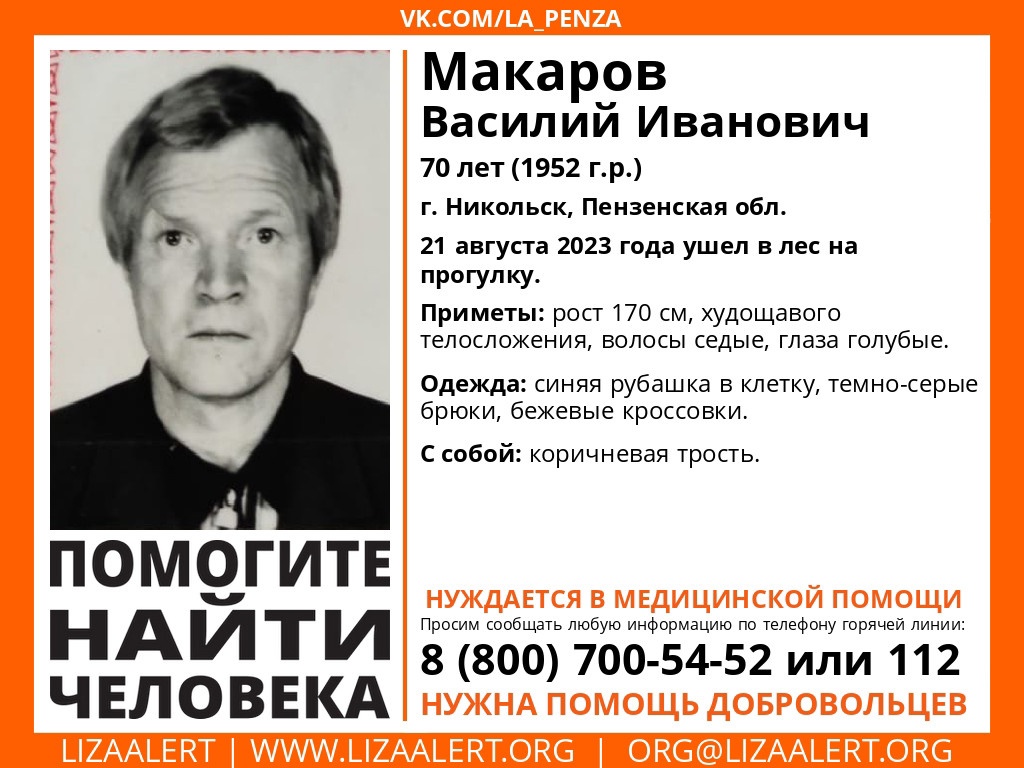 В Никольске три дня не могут найти пенсионера ушедшего в лес | 23.08.2023 |  Пенза - БезФормата