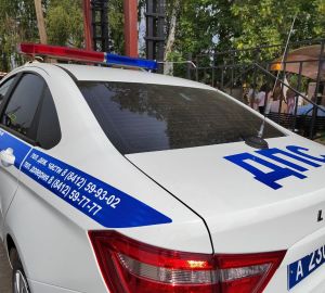 В Пензенской области инспекторы ГИБДД два дня будут ловить нетрезвых водителей