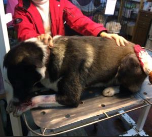 На благоустройство Соборной площади потратят почти 150 миллионов рублей