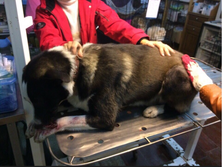 На благоустройство Соборной площади потратят почти 150 миллионов рублей