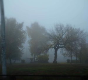 Пензенцы делятся фото тумана, окутавшего город