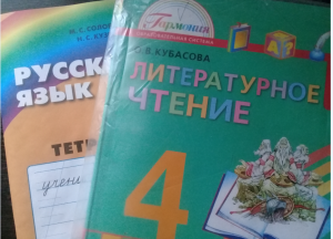 Пензенская школьница вошла в топ-100 авторов лучших сочинений России
