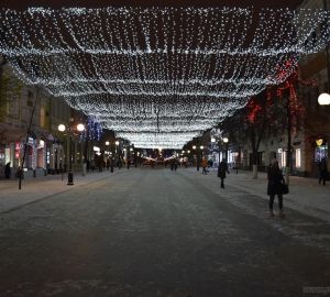 Улицу Лермонтова украсят новогодние ласточки