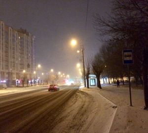 Дилемма пензенцев с ул. Тернопольской: либо переход, либо освещение