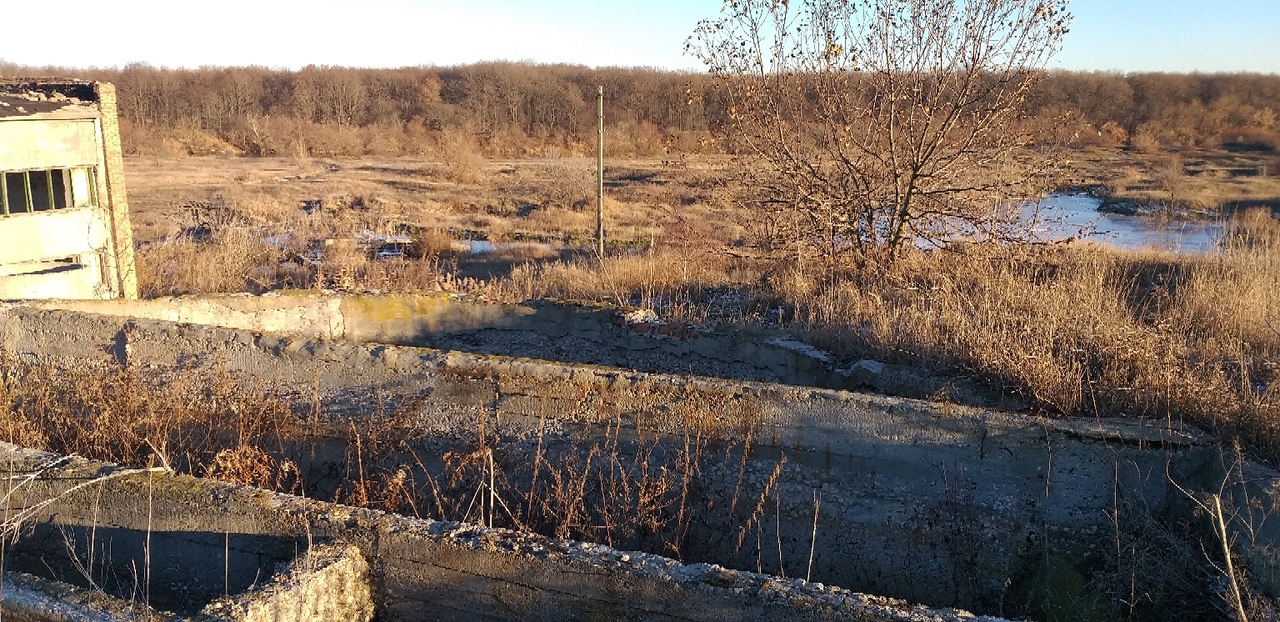 Экологическое бедствие: Бессоновский район задыхается от нечистот