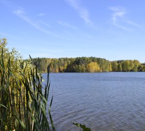 В поселке ЗИФ в 2019 году появится вода