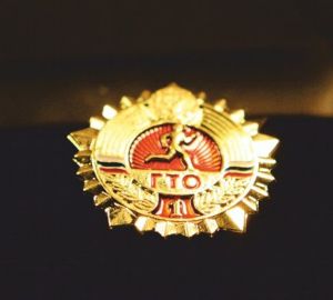 Пензенская область вошла в тройку сильнейших по ГТО в РФ