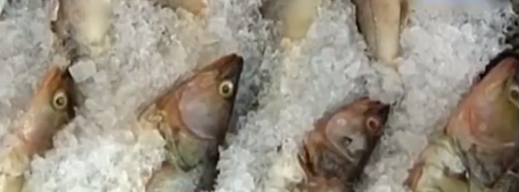 Роспотребнадзор изъял 173 кг рыбы из магазинов Пензенской области