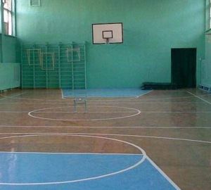 Стало известно, в каких районах отремонтируют школьные спортзалы в 2019 году