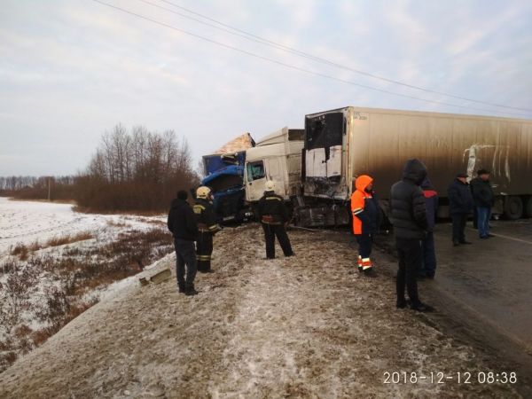 В страшном ДТП близ Богословки пострадали 7 и умер 1 человек