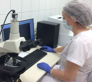 Дети в пробирке: процедуру ЭКО теперь буду делать в пензенском перинатальном центре