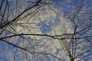 Церемония прощания с Сергеем Симоновым пройдет 26 декабря