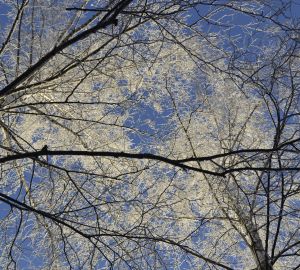 Церемония прощания с Сергеем Симоновым пройдет 26 декабря