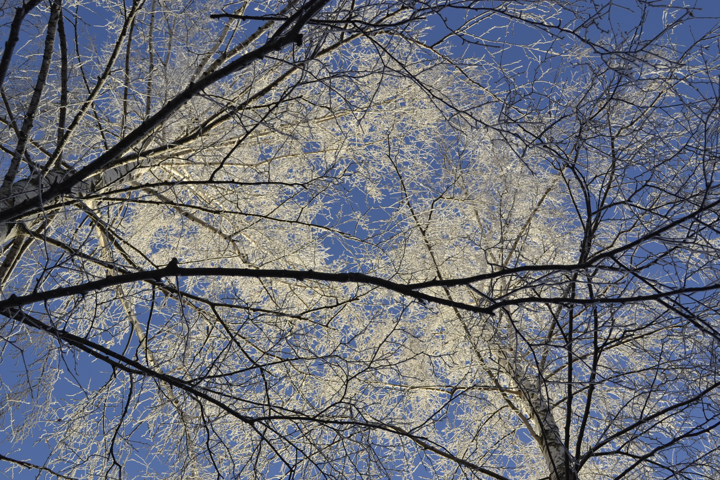 Церемония прощания с Сергеем Симоновым пройдет 26 декабря