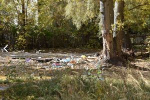 В Пензенской области нашли способ снизить плату за вывоз мусора