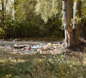 В Пензенской области нашли способ снизить плату за вывоз мусора