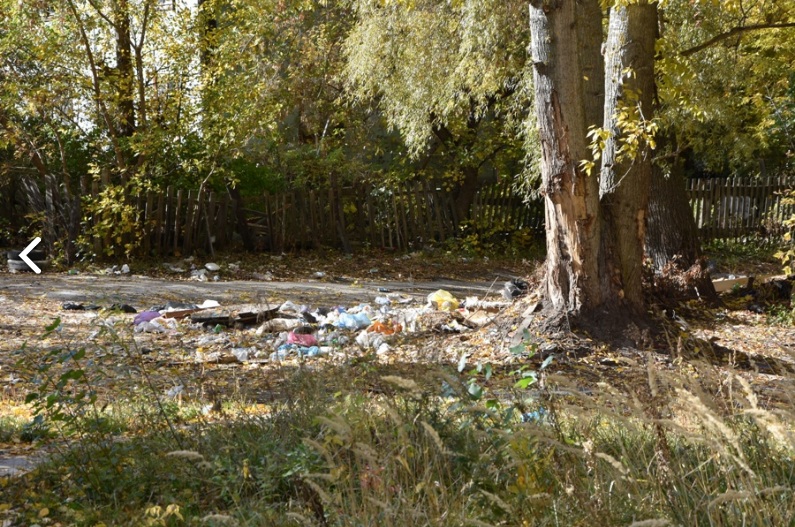 В Пензенской области нашли способ снизить плату за вывоз мусора