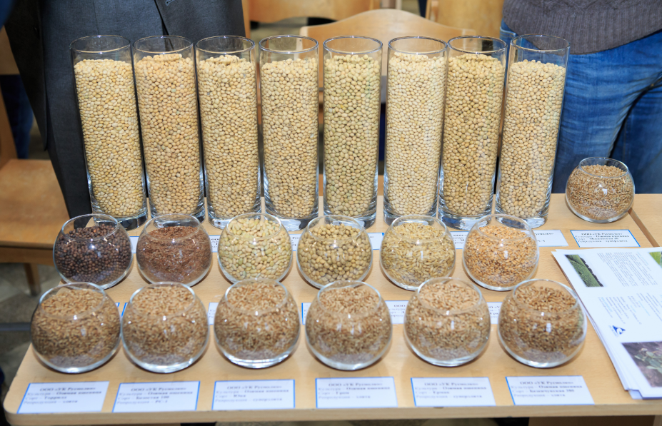 Андрей Бурлаков: «У нас нет другого пути, кроме как продолжить развитие»