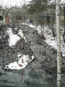 Жители поселка Лесной заявили об экологическом бедствии