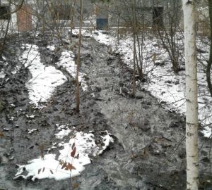 Жители поселка Лесной заявили об экологическом бедствии