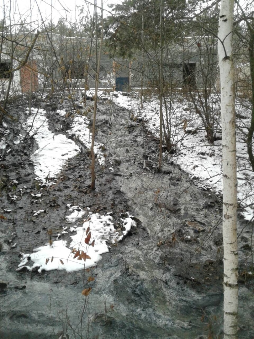 Жители поселка Лесной заявили об экологическом бедствии