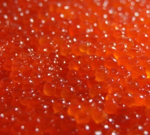 Остерегайтесь подделок! Как выбрать качественную икру к новогоднему столу