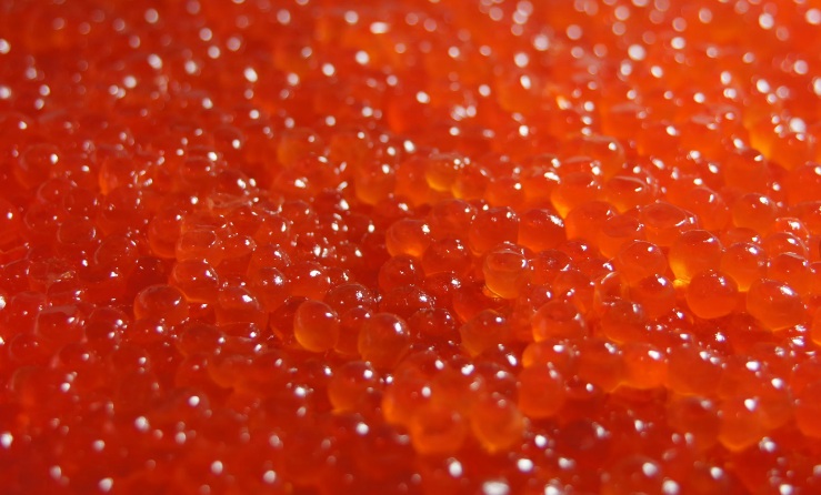 Остерегайтесь подделок! Как выбрать качественную икру к новогоднему столу