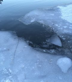 Стали известны подробности гибели 9-летнего мальчика на Суре