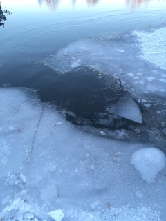 Стали известны подробности гибели 9-летнего мальчика на Суре