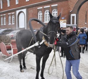 «Рождественская ярмарка» в Пензе прошла с аншлагом