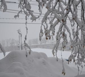 Пенза в снежном плену. Фоторепортаж. Район Монумента Победы