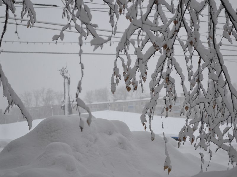 Пенза в снежном плену. Фоторепортаж. Район Монумента Победы