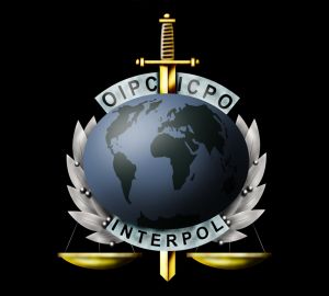 Пензенца объявили в международный розыск за драку