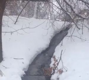 Власти Пензы годами не реагируют на "реку" из нечистот на ул. Совхоз-Техникум?